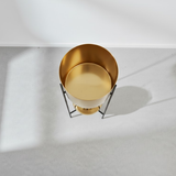 Luxe Golden Two-Tier Steel Planter Set