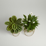 Gold Nest Steel Cage Planters (Set of 2)