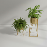 Contemporary Gold Steel Planter set