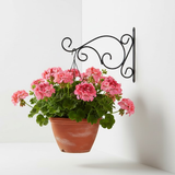 Curved Scroll Wall Hanger