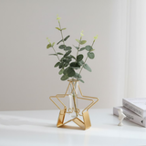 Golden Star Love Test Tube Planter