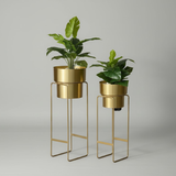 Luxe All-Gold Steel Planter set