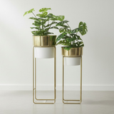Modern Contrast Gold & White Planter set