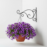 Curved Scroll Wall Hanger