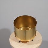 Premium Gold Finish Steel Planter with Stand