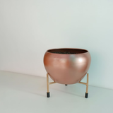 Elegant Copper Finish Steel Planter with Stand