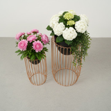 Urban Black Steel Cage Planters (Set of 2)