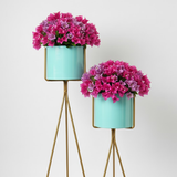 Aqua Steel Tripod Planter