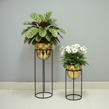 Luxury Golden Steel Planter Set