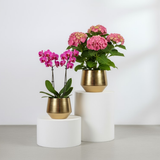 Duo Luxe Gold Steel Planters (Set of 2)