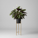 Luxe Steel Tripod Plant Stand Set (3 Pieces)