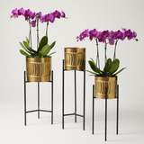Premium Golden Steel Planter Set