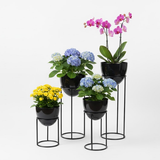 Premium Egg Shaped Steel Planters – Set of 3 with Tall Stands