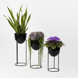 Premium Egg Shaped Steel Planters – Set of 3 with Tall Stands