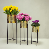 Luxe Golden Planter Set