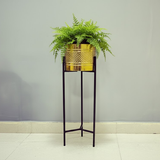 Luxe Golden Planter Set