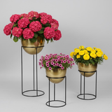 Elegant Gold Egg-Shaped Steel Planters – Set of 3 with Modern Stands
