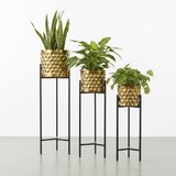 Luxury Golden Steel Planter Set with Elevated Stands – Set of 3