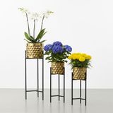 Luxury Golden Steel Planter Set with Elevated Stands – Set of 3