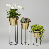 Luxury Golden Steel Planter Set with Stands – Set of 3