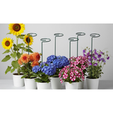 High-Quality Steel Plant Support Stakes – Pack of 6