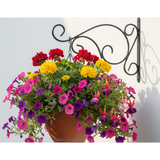 Curved Scroll Wall Hanger