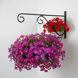 Straight Scroll Wall Hange