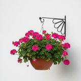 Floral Fan Steel Wall Hanger