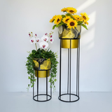 Elegant Leaf Steel Planter Duo – Tall & Short