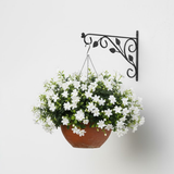 Elegant Vine Steel Wall Hanger