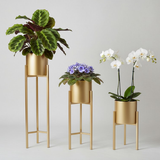 Elegant Gold Steel Plant Stand Set