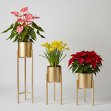 Elegant Gold Steel Plant Stand Set