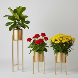 Elegant Gold Steel Plant Stand Set