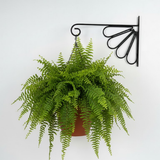 Floral Fan Steel Wall Hanger