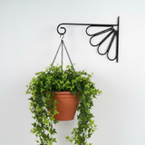 Floral Fan Steel Wall Hanger