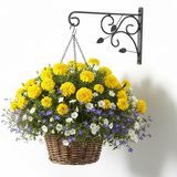 Leaf Scroll Steel Wall Hanger