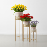 Luxe Lattice Steel Planters Set of 3