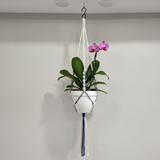 Boho Macramé Hanging Steel Planters