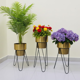 Premium Golden Steel Planter Set with Designer Stand – Set of 3