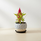 Macramé Wrapped Steel Pots Collection