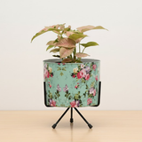 Designer Iron Pots with Stand