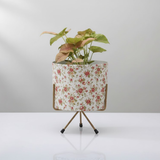 Modern Iron Pots with Stand