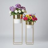 Modern Contrast Gold & White Planter set