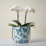 Elegant Iron Pots with Stand