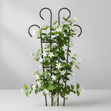 Premium Steel Big Plant Stake