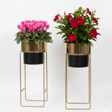 Dual Tone Gold & Black Steel Planter set
