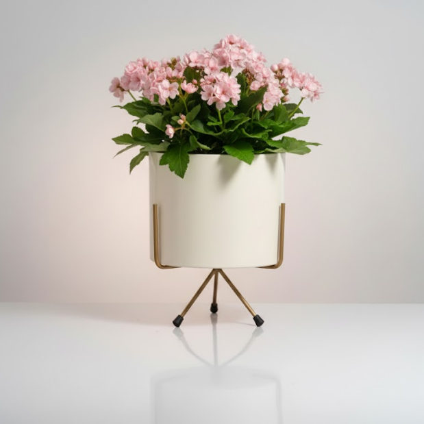 Minimalist White Iron Pot with Stand