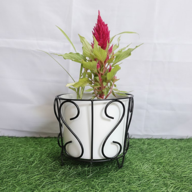 Classic Scroll Black Iron Pot Stand