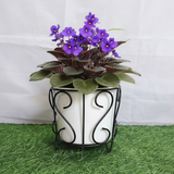 Classic Scroll Black Iron Pot Stand