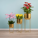 Luxe Gold Steel tree- tier Planter set